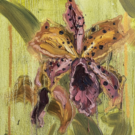 Orchid